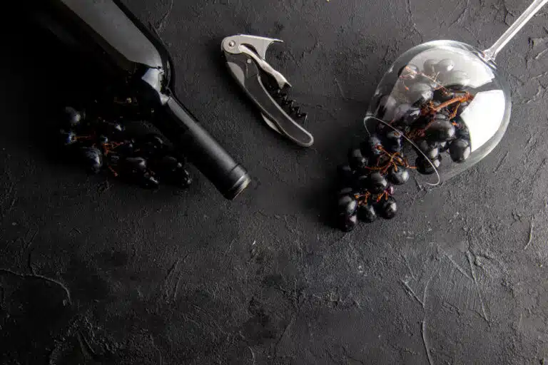 Featured image for "Plastic bottles of wine: the new fancy way to drink!"