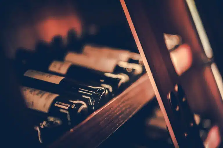 Featured image for "Shop Smarter: Getting the Best Plastic Wine Bottles Wholesale"