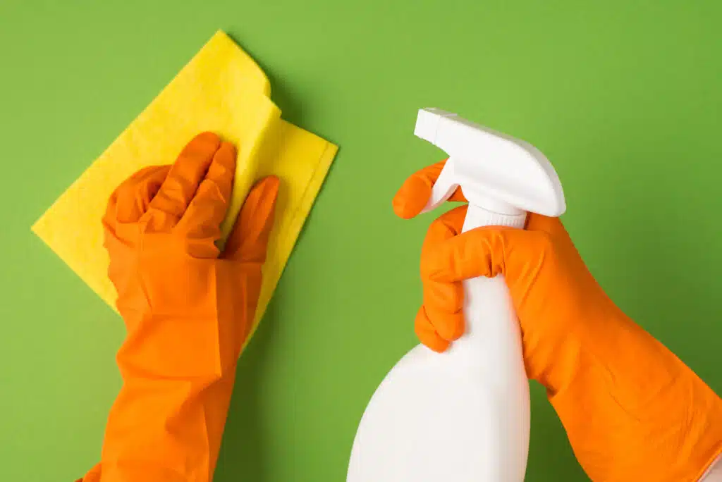 Household Cleaning Industry 