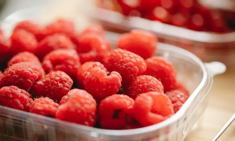 Featured image for "Plastic Food Containers With Lids"