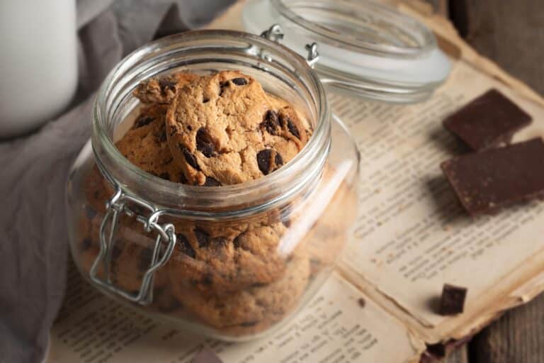 Plastic Cookie Jars: Preserving Freshness