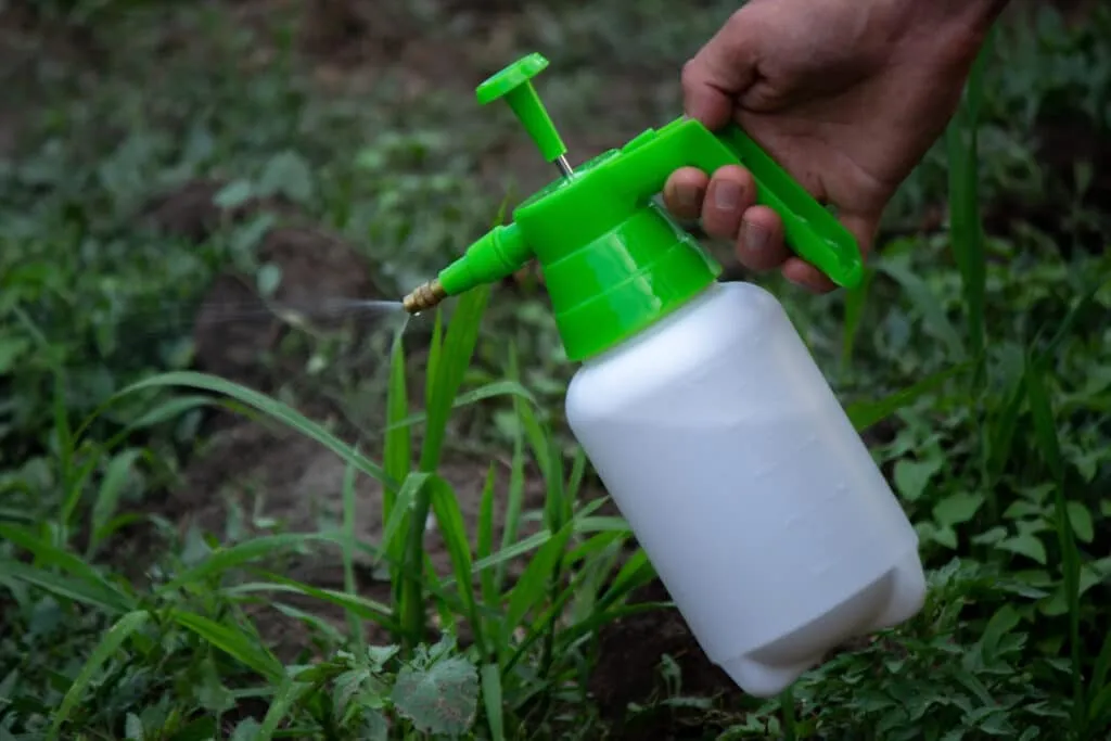 16 oz plastic bottles with caps  wholesale: farmer sprays weeds in the garden. Selective focus. nature